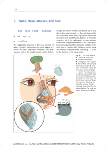 Thieme: Ear, Nose, and Throat Diseases