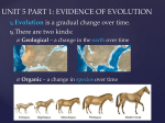 CHAPTER 28: EVIDENCE OF EVOLUTION