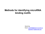 Methods for identifying microRNA binding motifs