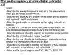 What are the respiratory structures that let us breath? 2/26