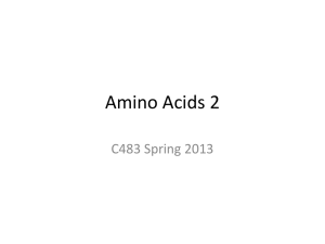 Amino Acids 2