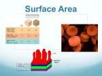 8.3 Cell surface area