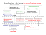 Generalized food web showing Consumer