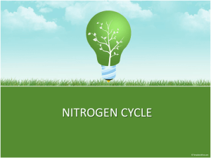 nitrogen cycle - dsapresents.org