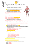 Chapter 14: Muscles, Bones, and Skin