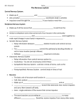 Nervous System Guided Notes