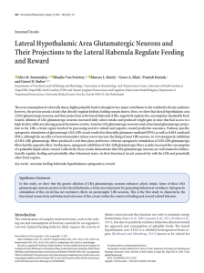 Lateral Hypothalamic Area Glutamatergic Neurons and Their
