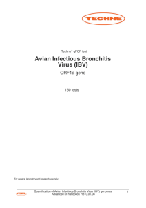 Avian Infectious Bronchitis Virus (IBV)