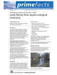 Lower Murray River aquatic ecological community