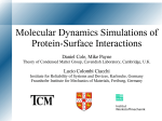 Molecular Dynamics Simulations of Protein
