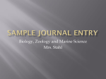 Sample Journal Entry
