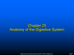 Chapter 7 Body Systems