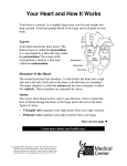 Your Heart and How It Works - OSU Patient Education Materials