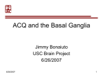 ACQ_and_the_Basal_Ganglia
