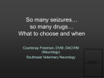 So many seizures… - Southeast Veterinary Neurology