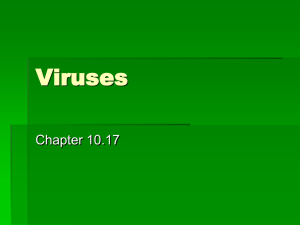 Viruses