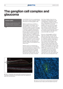 The ganglion cell complex and glaucoma
