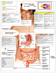 2 division Digestive system parts –GI