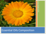 Essential Oils Composition