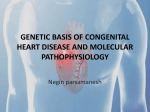 genetic basis of congenital heart disease and molecular