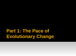 Part 1: The Pace of Evolutionary Change