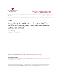 Integrative actions of the reticular formation The reticular activating