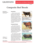 Composite Beef Breeds - FSA3057 - University of Arkansas Division