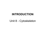 Tutorial 8 – Cytoskeleton