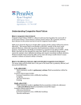 Understanding Heart Failure