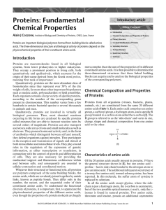 Proteins: Fundamental Chemical Properties