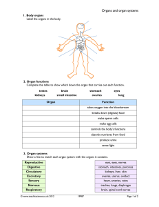 Organs and organ systems