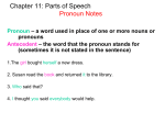 Chapter 11: Parts of Speech Pronouns Nouns