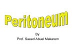 23-Peritoneum2007-12-29 04:534.1 MB