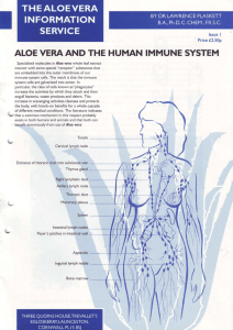 Aloe Vera and the Human Immune System