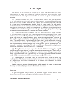 8. The Larynx - UCLA Linguistics
