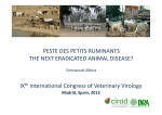Xth International Congress of Veterinary Virology - Agritrop