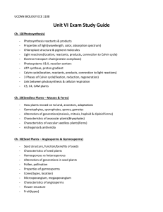 Unit VI Exam Study Guide