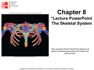 Chapter 8:The Skeletal System