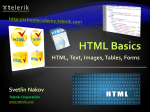 html - Telerik