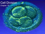 Cell Division Chapter 10 - McKinney ISD Staff Sites