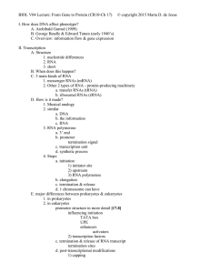 DNA/RNA.lecture