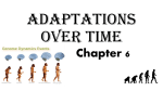 Adaptations Over Time - St. Thomas the Apostle School