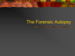 The Forensic Autopsy