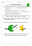 Enzymes Worksheet - Ms. Perez`s Science