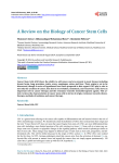A Review on the Biology of Cancer Stem Cells