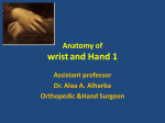 Anatomy of wrist and Hand