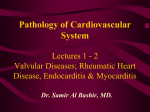 Rheumatic Fever and Heart Disease