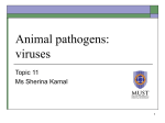 Animal pathogens: viruses