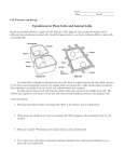 Cytokinesis in Plant and Animal Cells