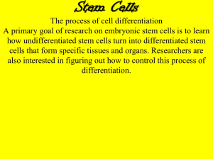 ap-biology-and-stem-cells-1